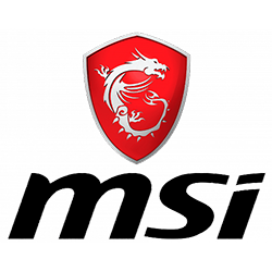 MSI